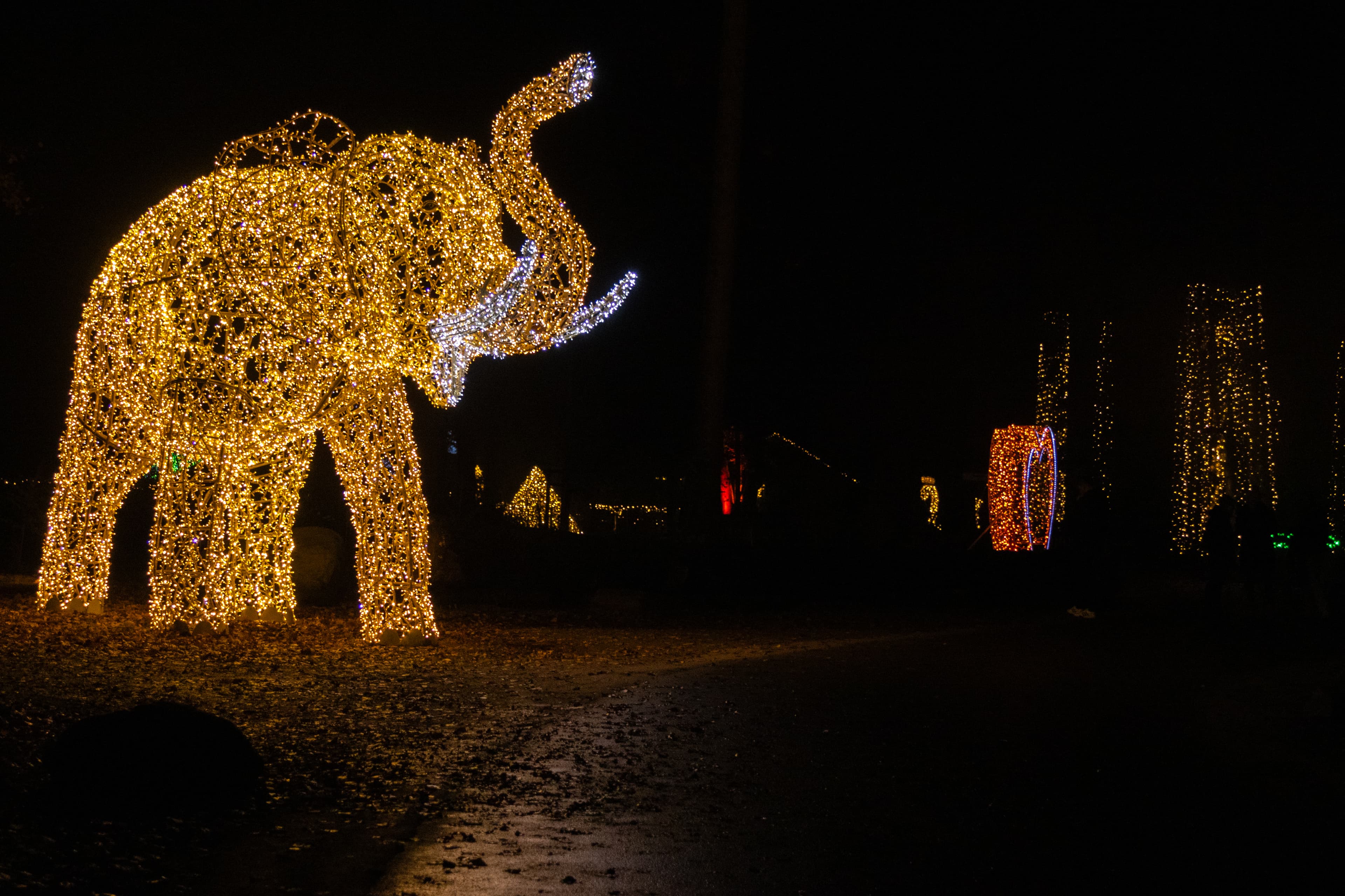 leuchtende figur von einem übergroßen elefanten im dunkeln