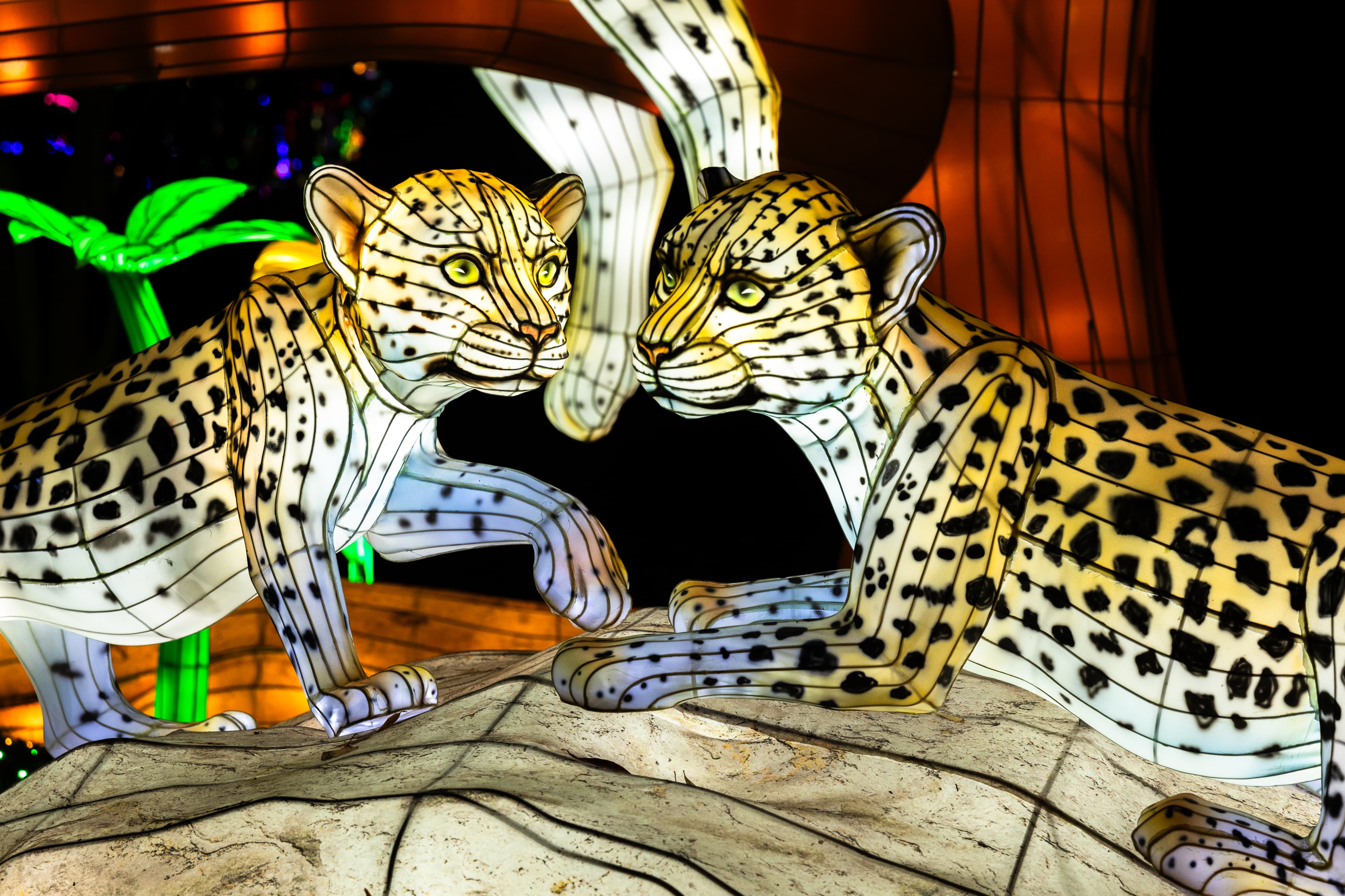 leuchtende figuren von zwei übergroßen jaguaren im dunkeln