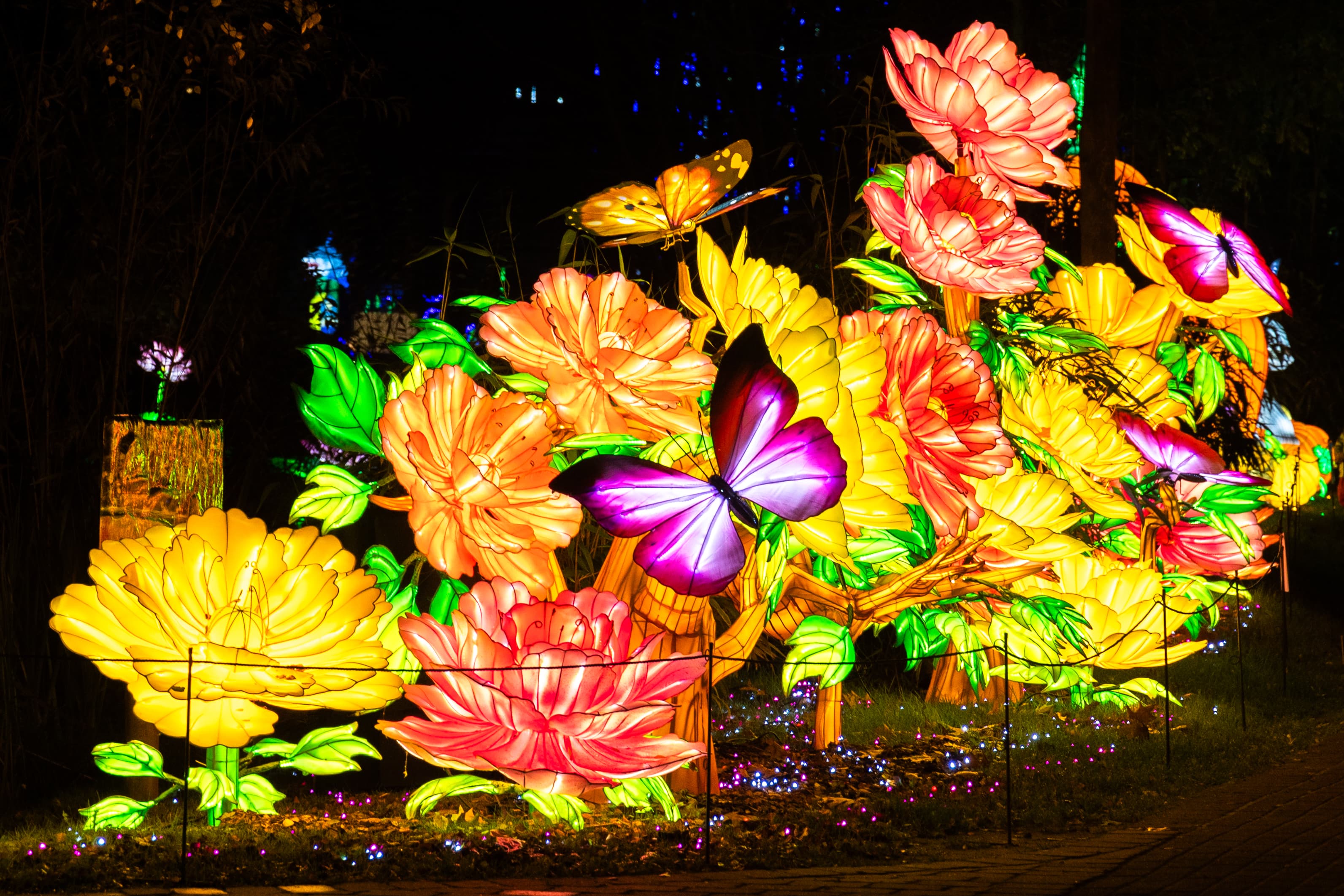 leuchtende figuren von übergroßen blüten und schmetterlingen im dunkeln