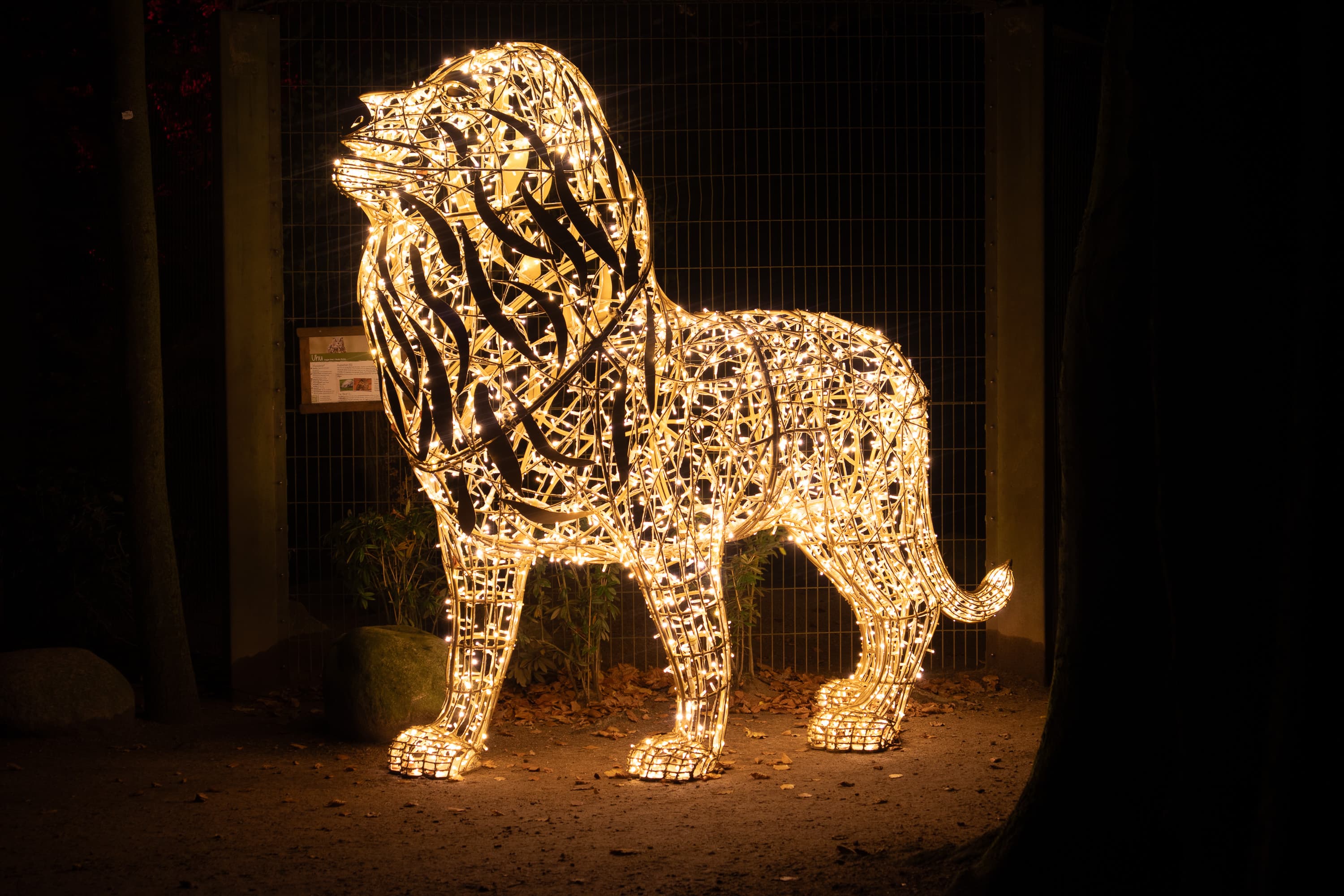 Ein toller Ausflug für die ganze FAmilie ist die Lumagica im Wildpark Schwarze Berge