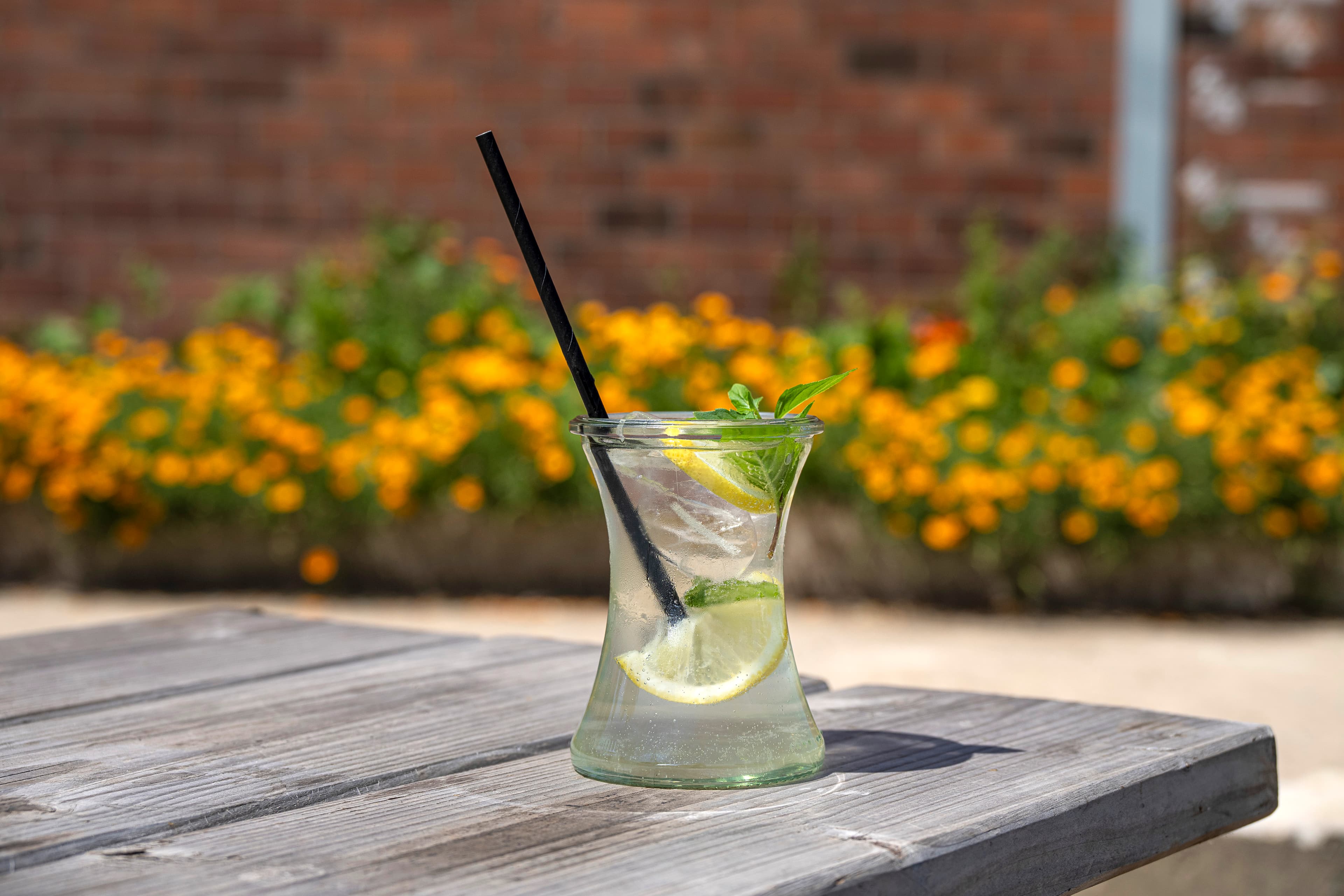 Hof an den Teichen, Hof-Limonade im Sommer