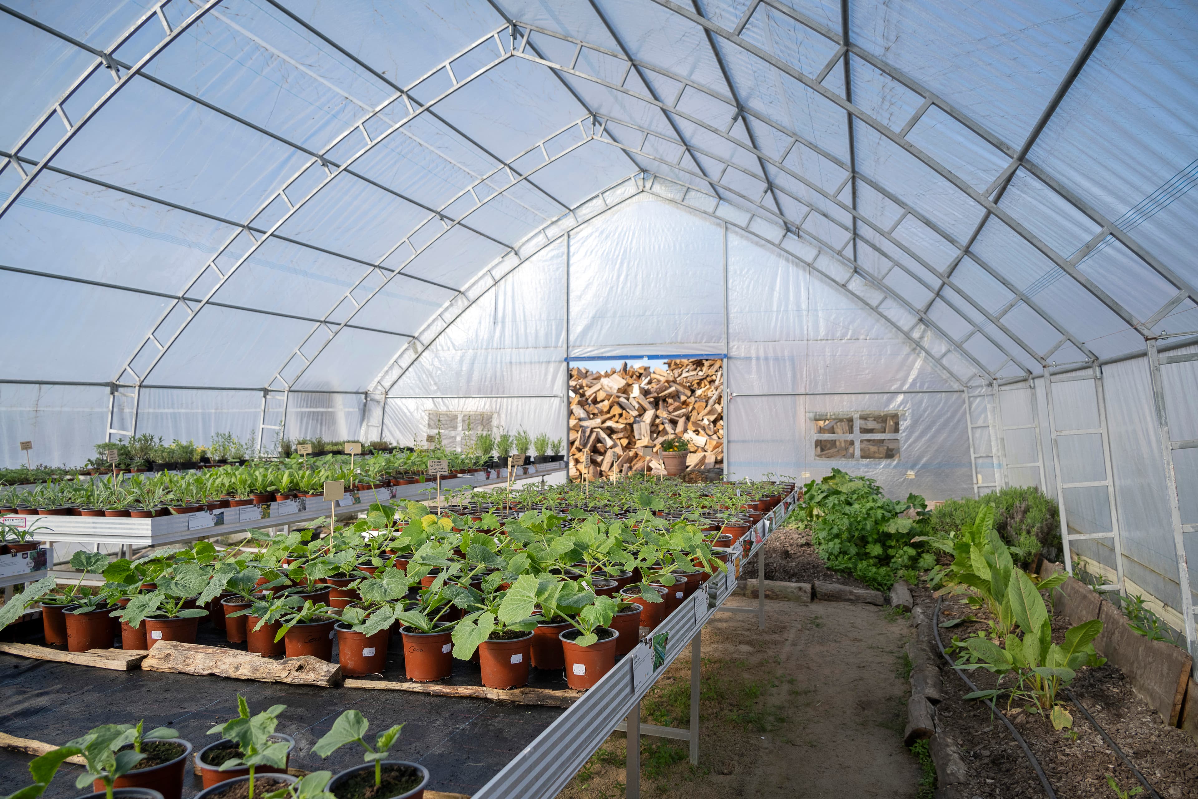 Hof an den Teichen, Gewächshaus