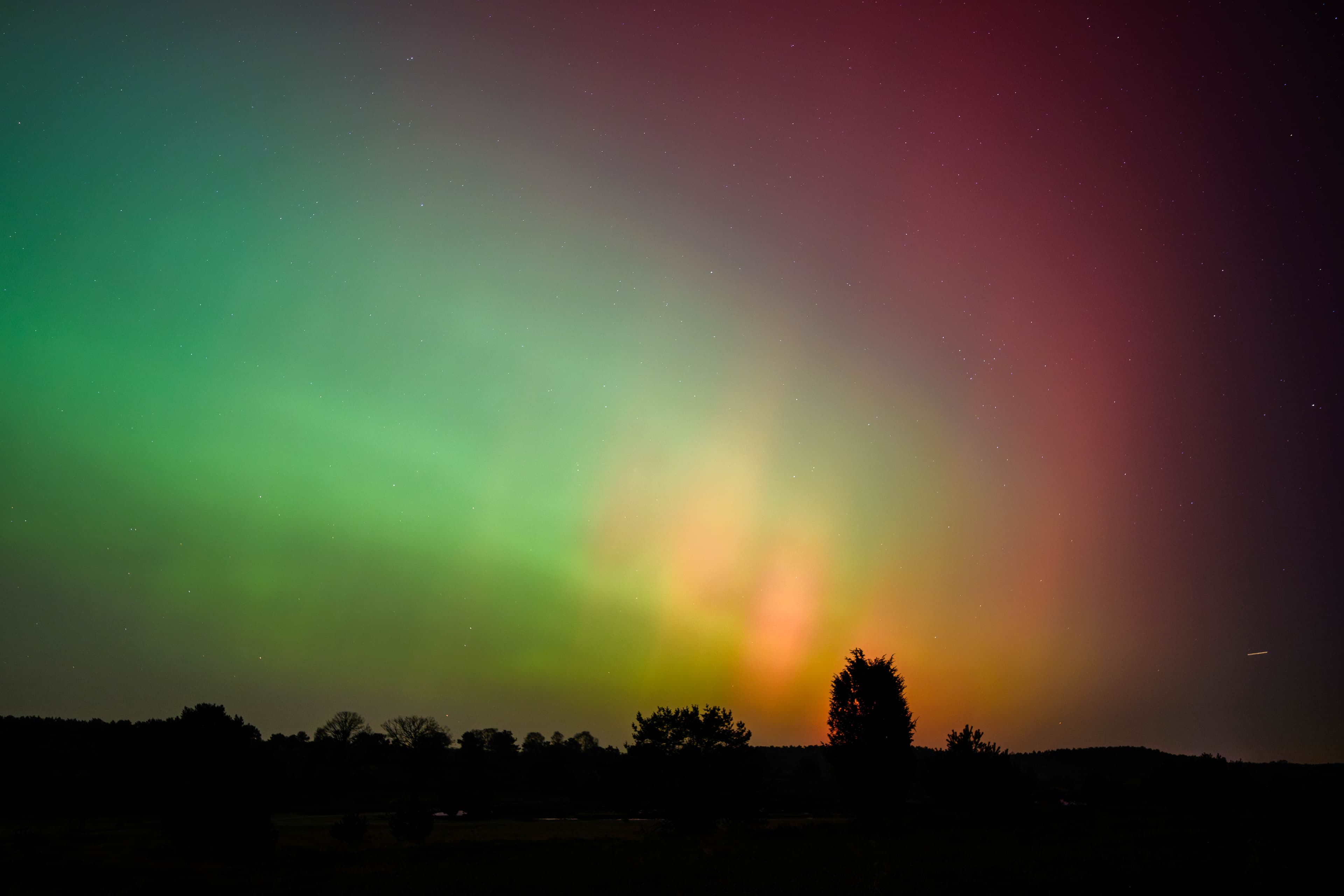 Tolle Polarlichter gab es am 19.01.26 im Radenbachtal bei Undeloh