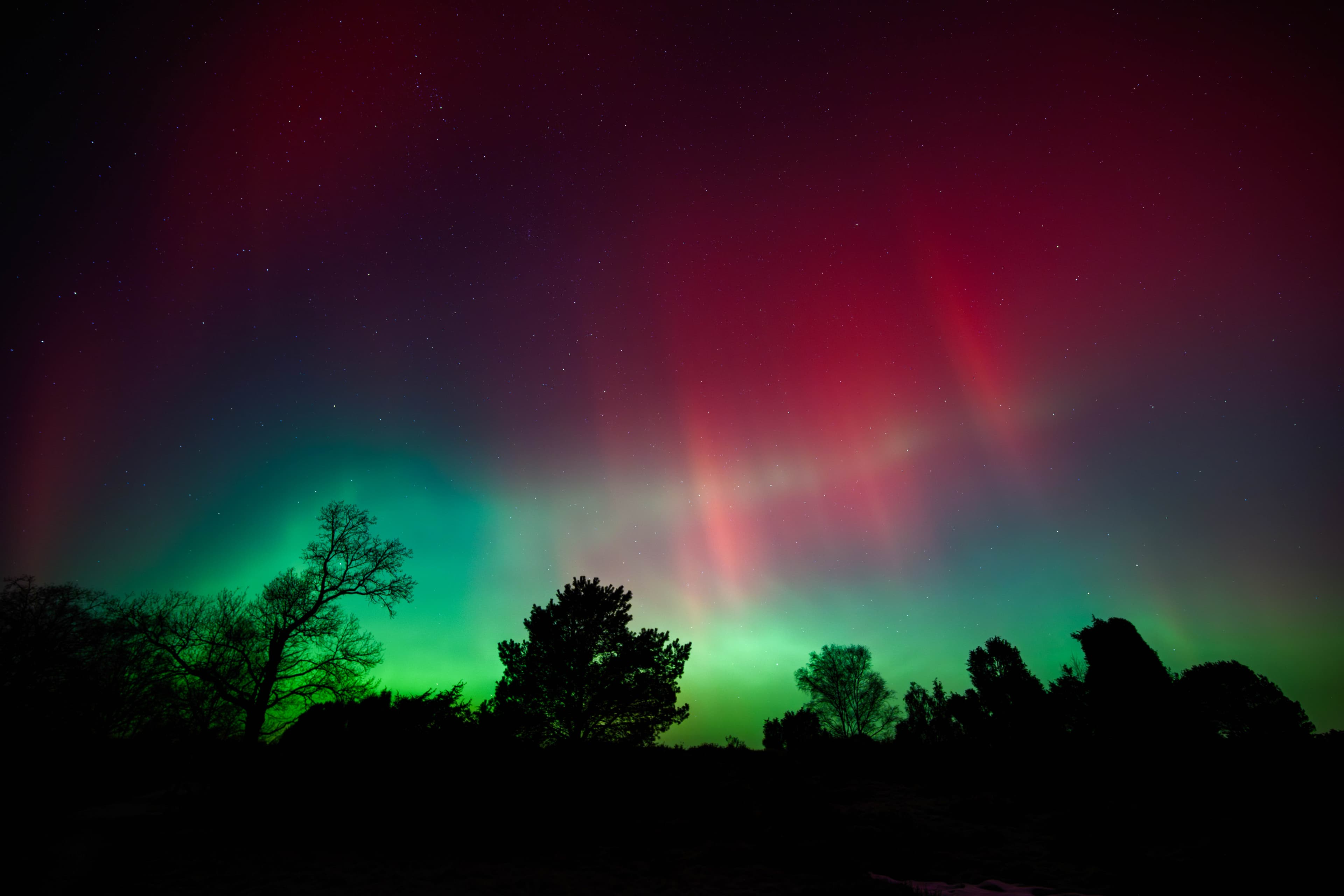 Fantastisches Polarlicht am 19.01.26 in der Lüneburger Heide