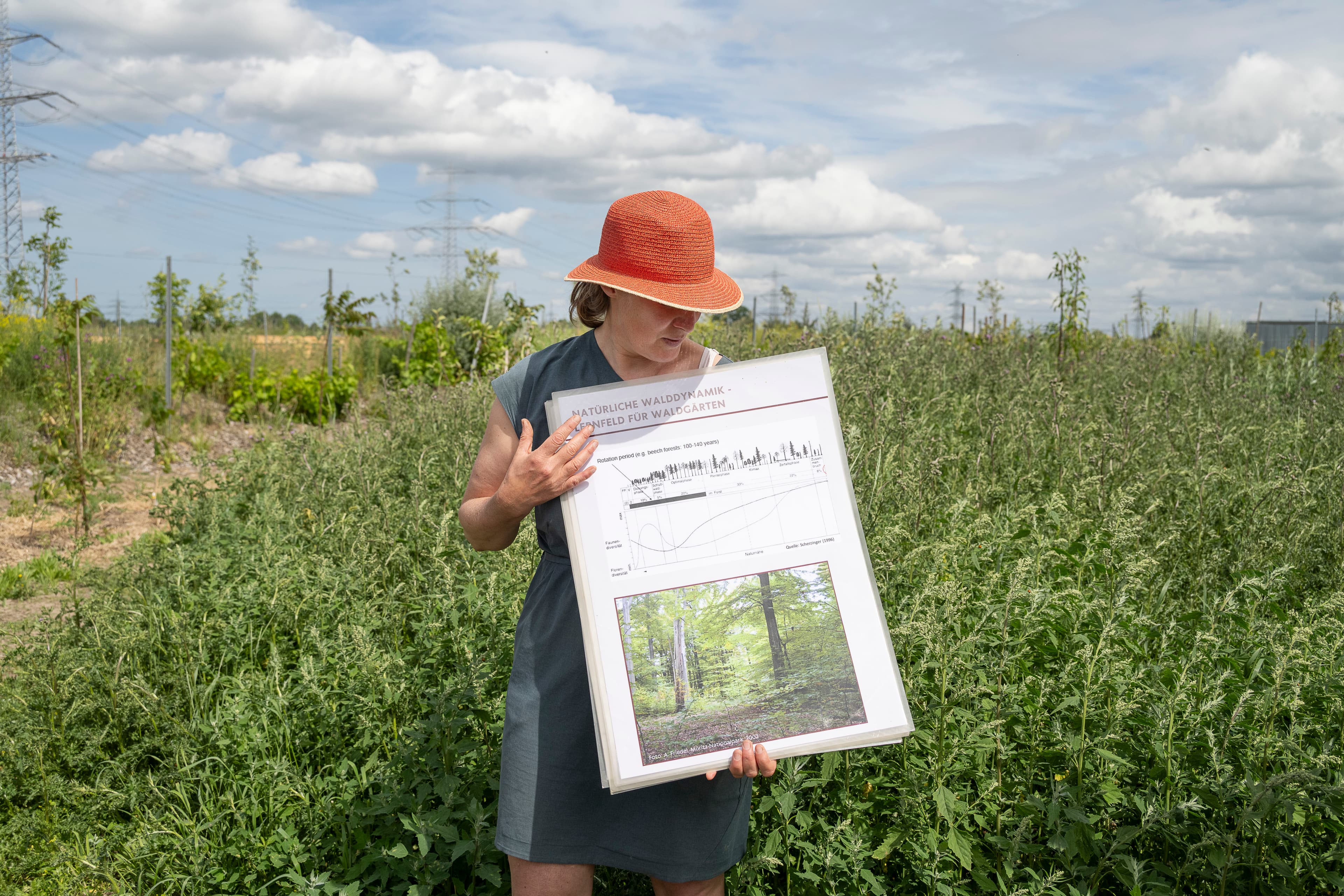 Hof an den Teichen, Waldgarten-Führung mit Dr. Agnes Friedel