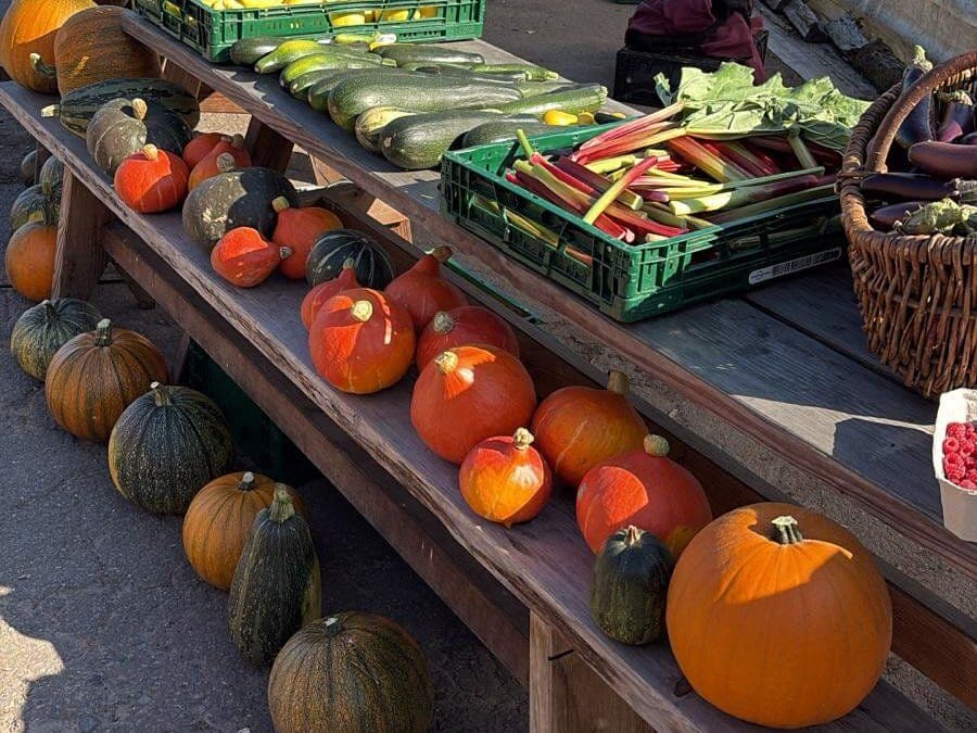 Hof an den Teichen, Erntedank-Fest