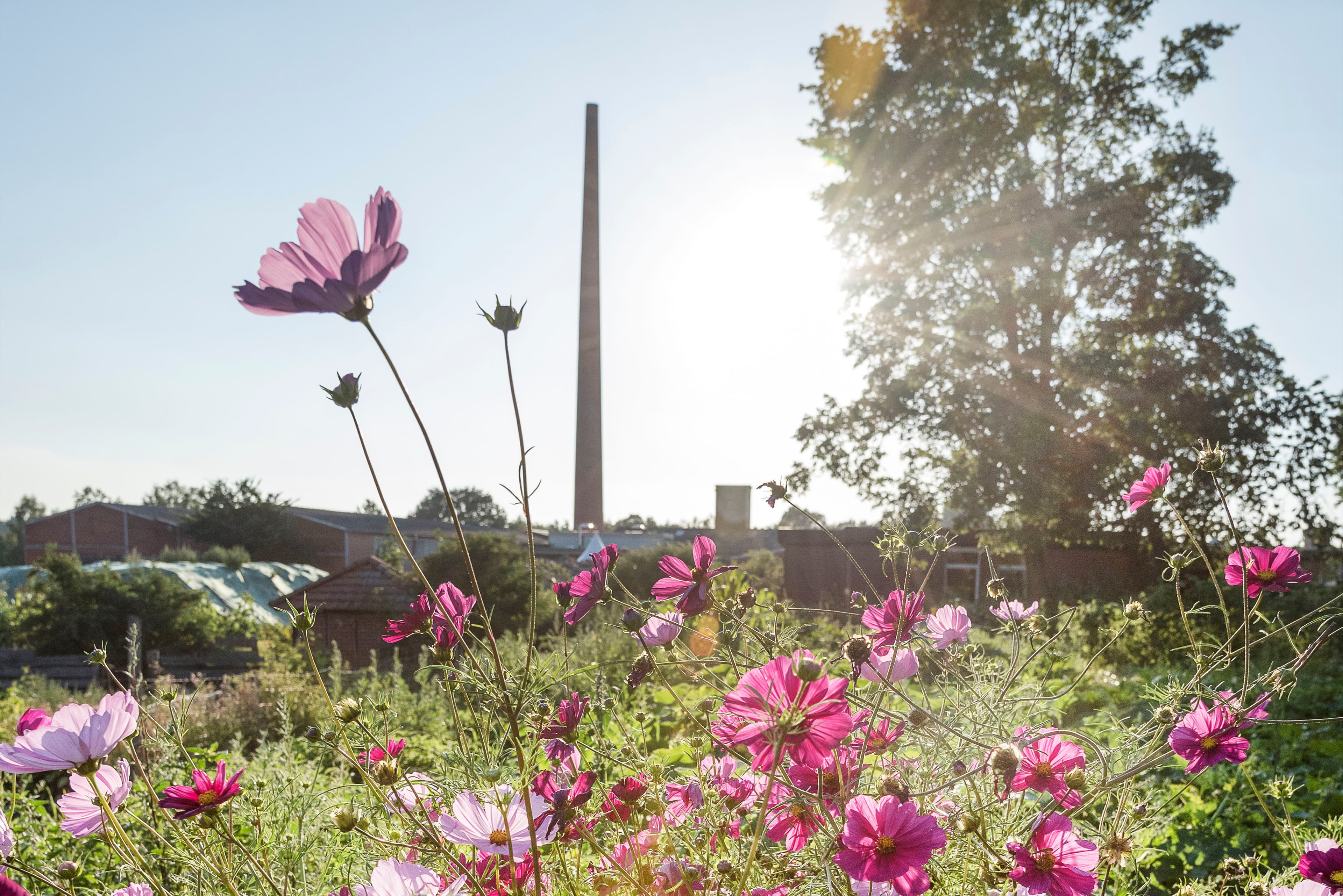 Hof an den Teichen, Spätsommer
