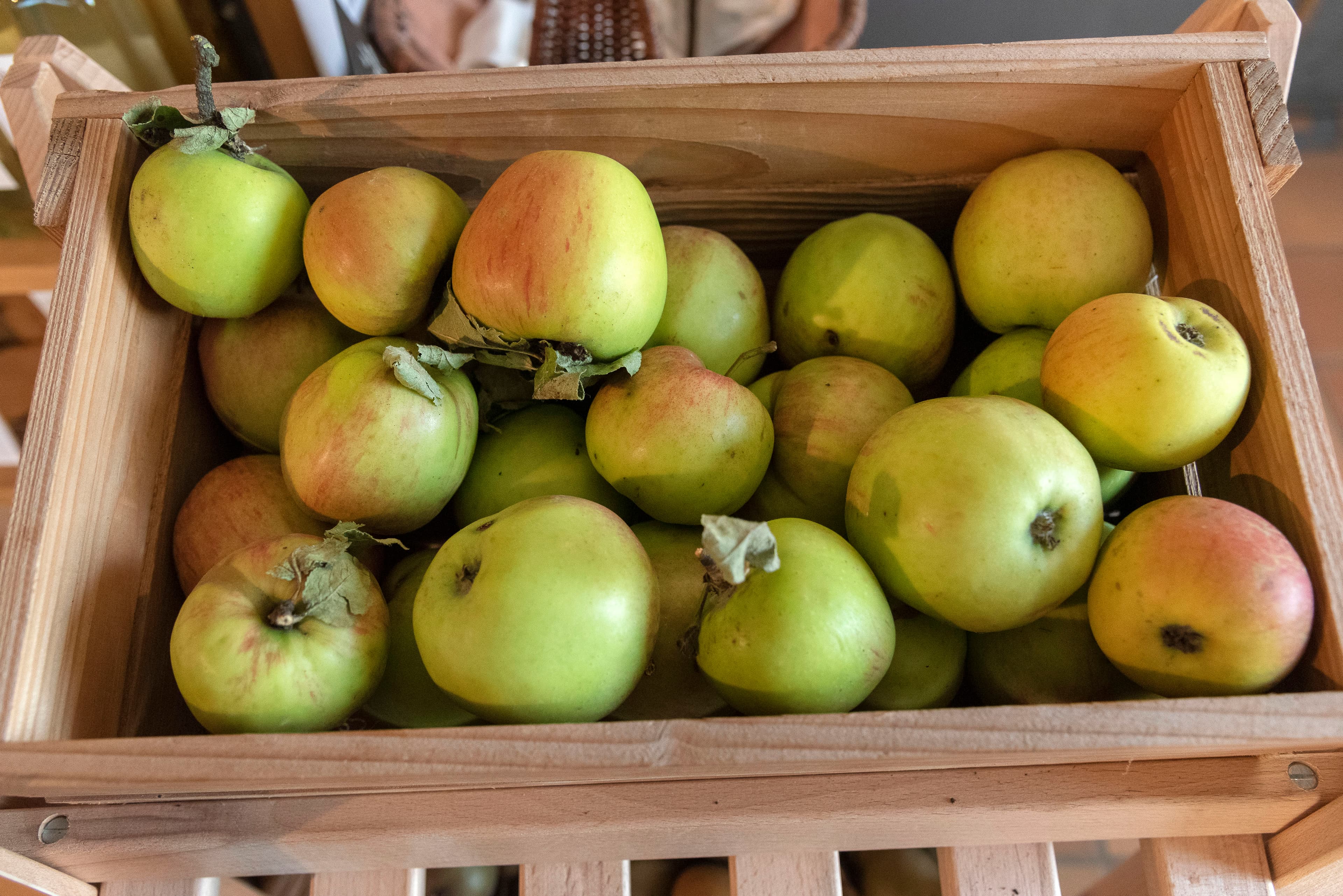 Hof an den Teichen, Apfelernte