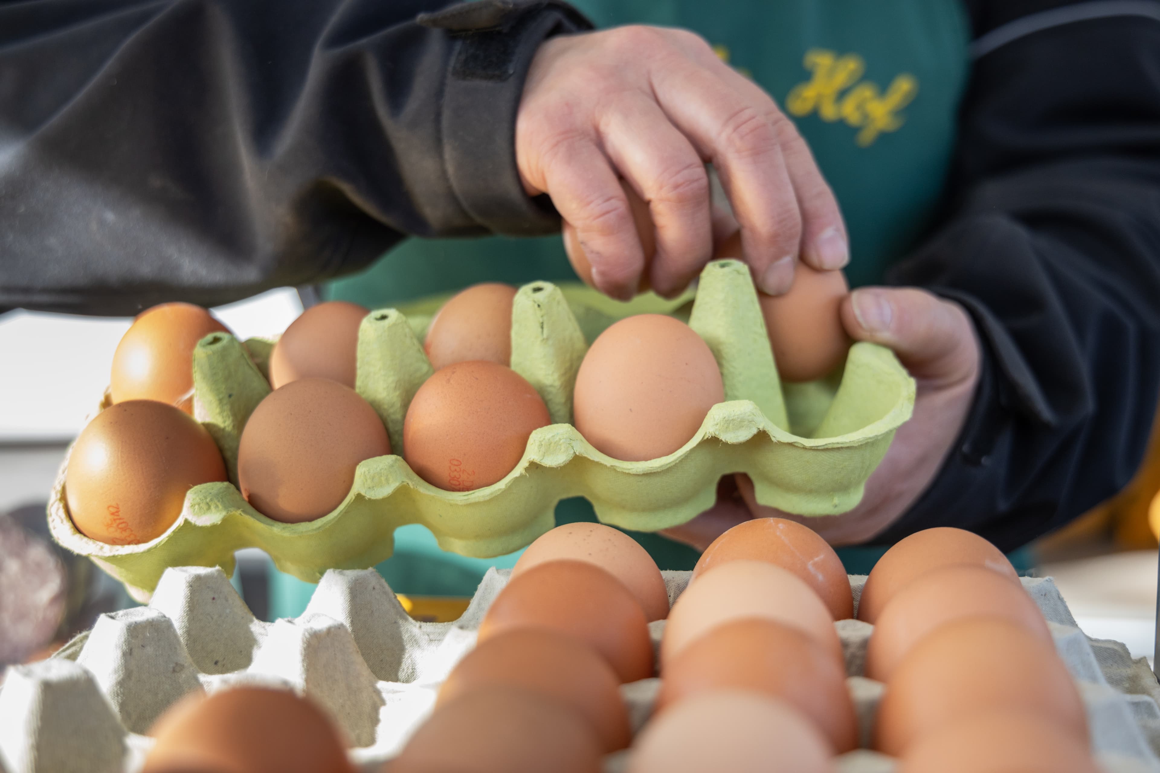 Frische Eier aus der Region
