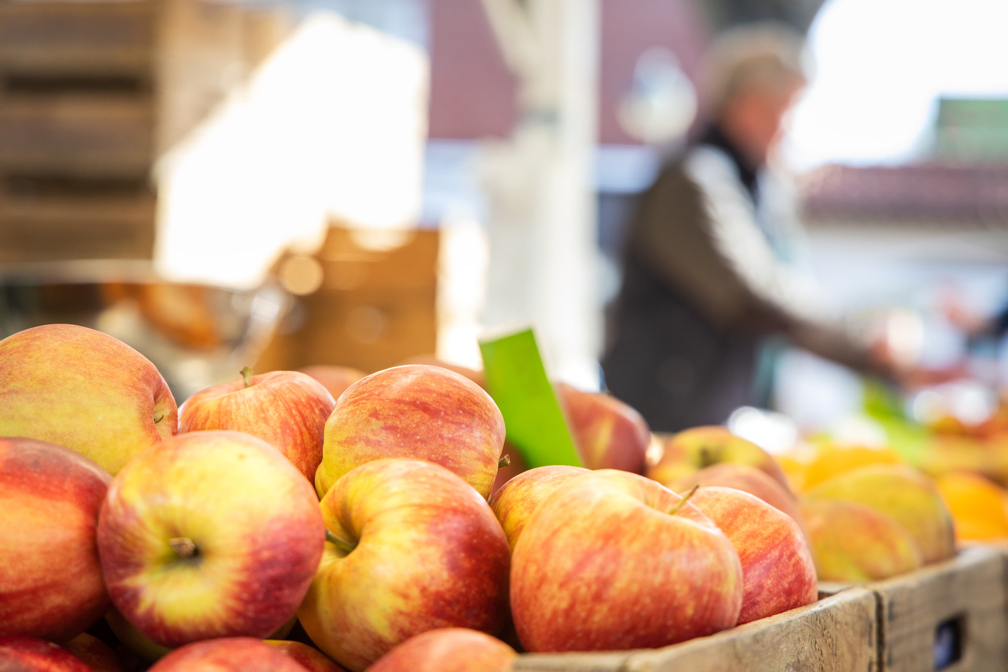 Verschiedene Apfelsorten werden auch in der Lüneburger Heide angebaut