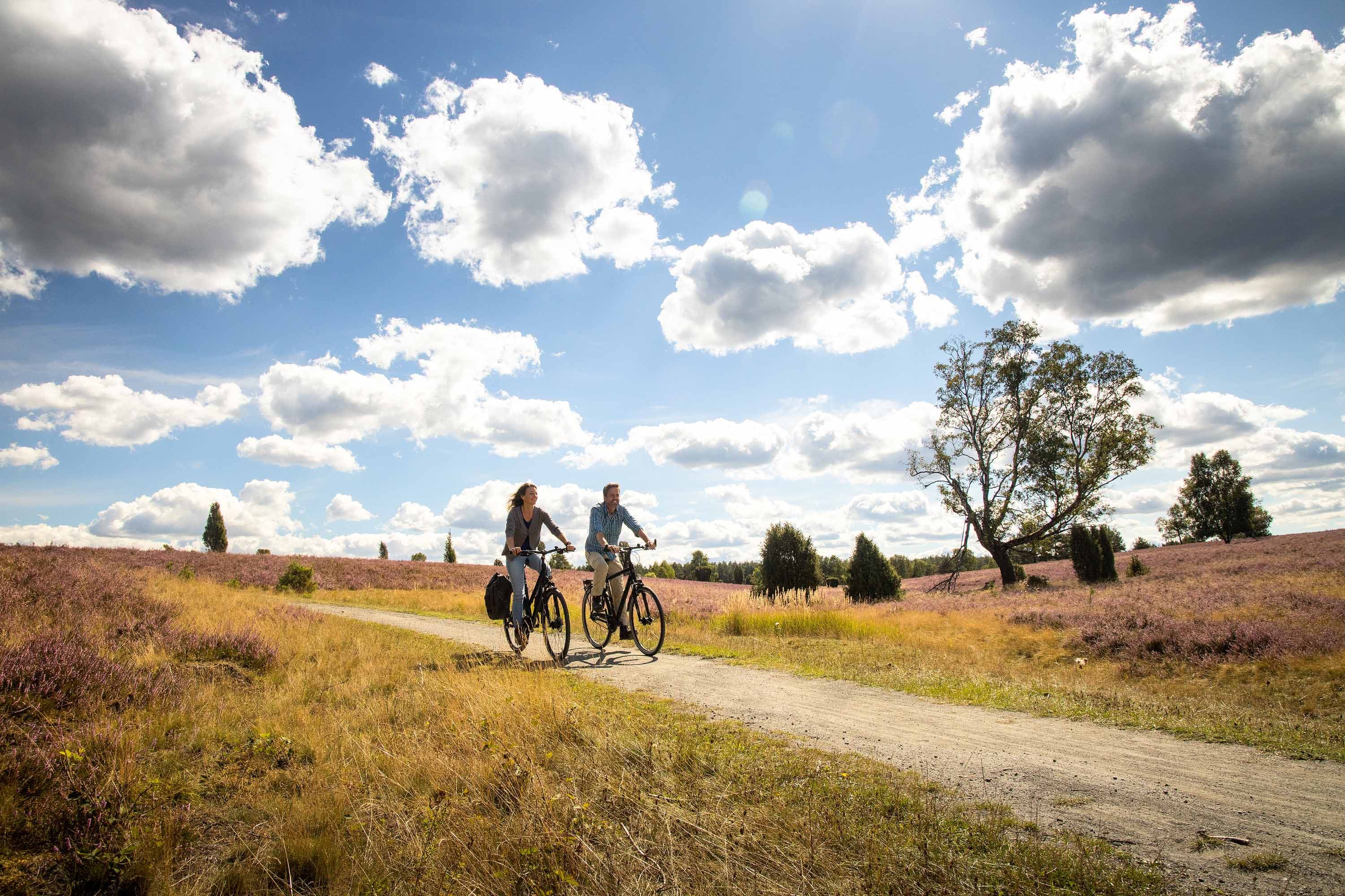 Zwei Radfahrer auf einem breiten Heideweg in der Oberoher Heide in der Suedheide