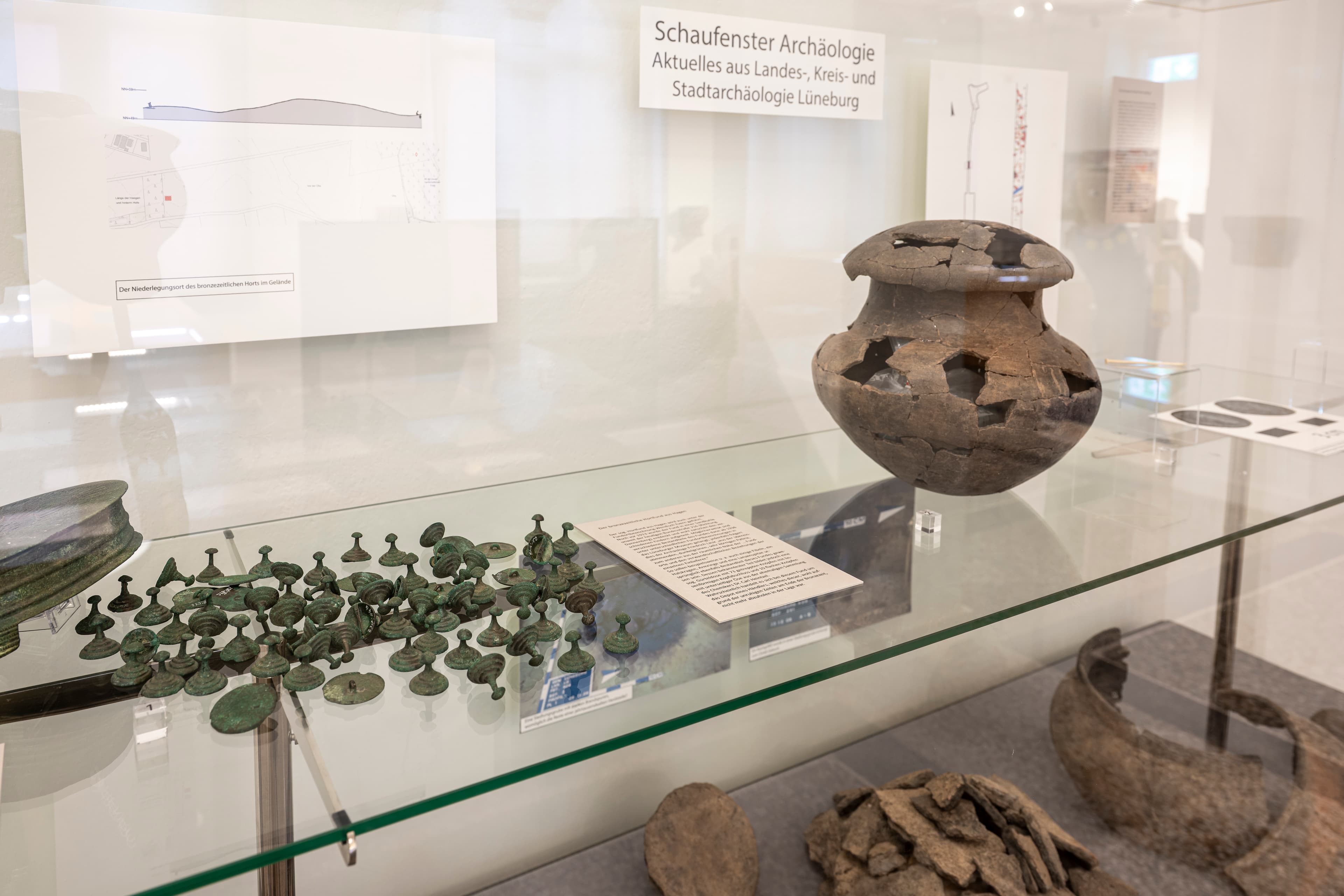 Ausstellungsvitrine mit archäologischen Funden