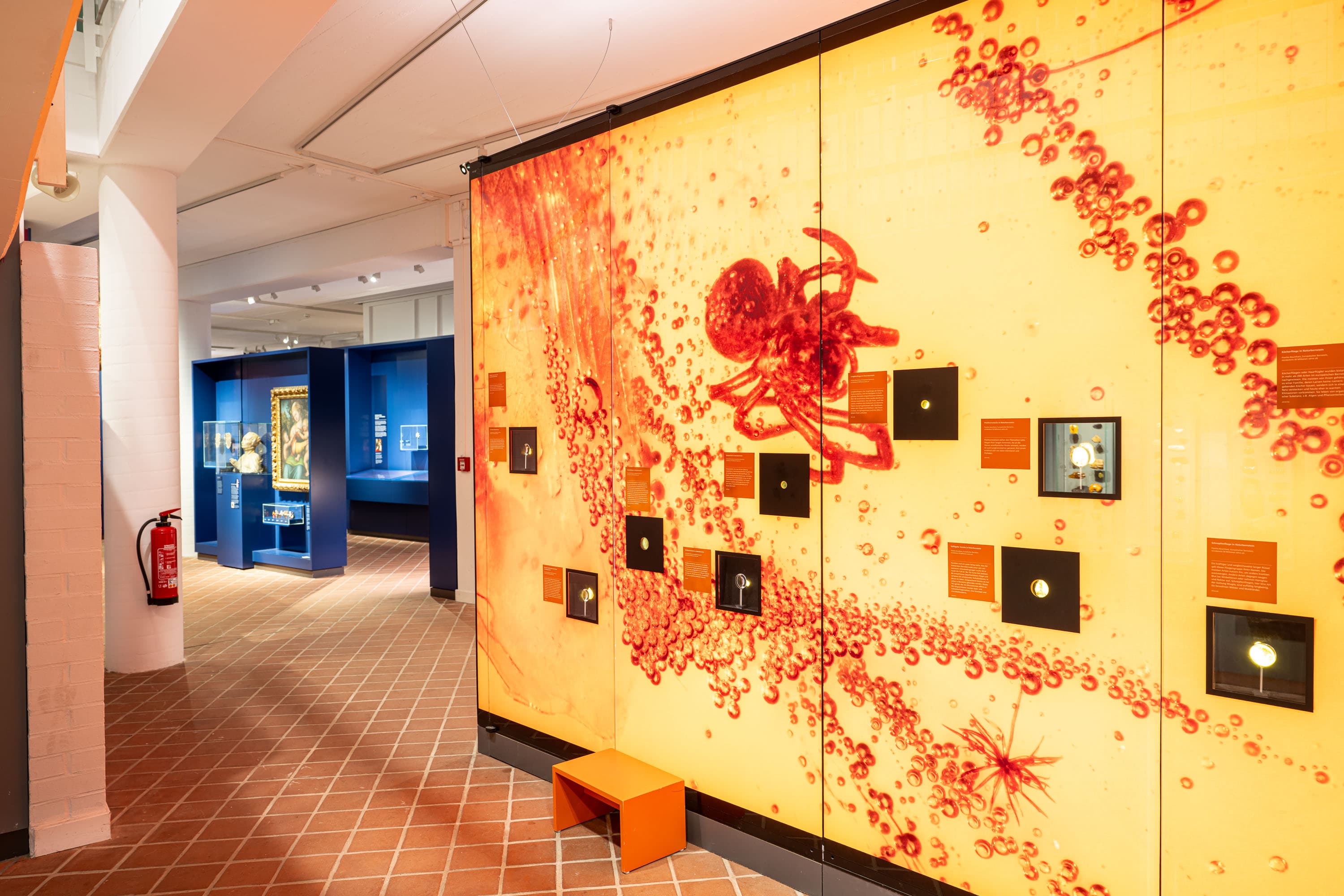 Ausstellungswand mit Bernsteinexponaten