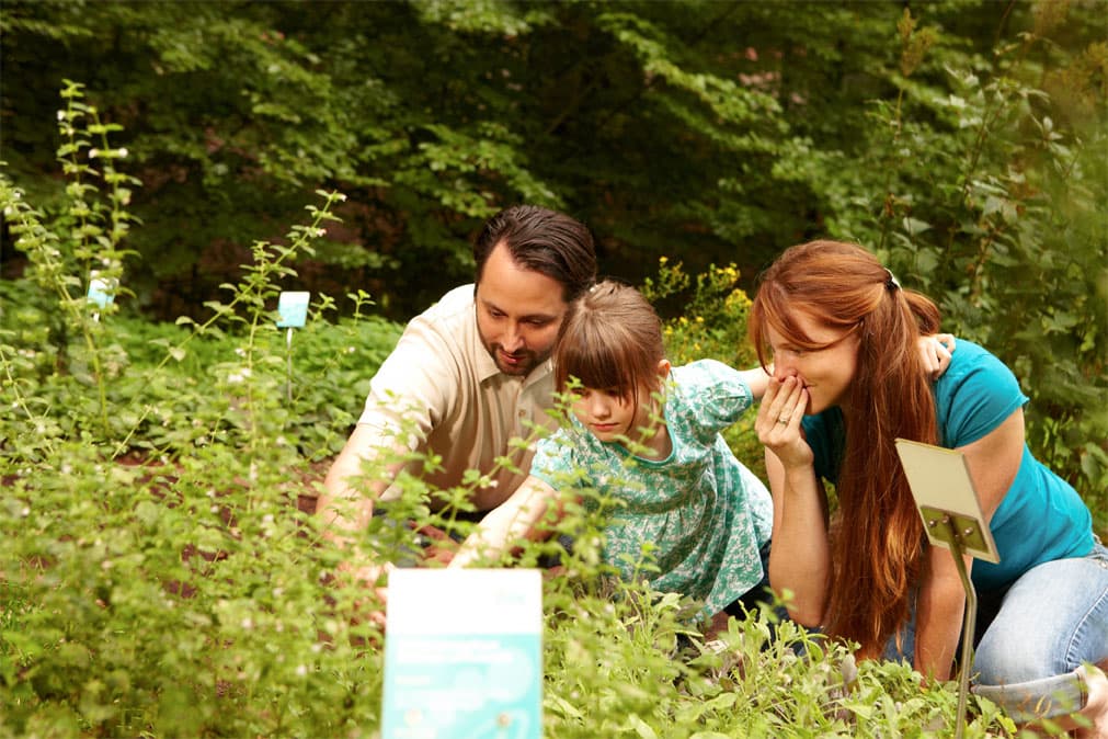 Der Kräutergarten im Barfußpark Egestorf riecht gut