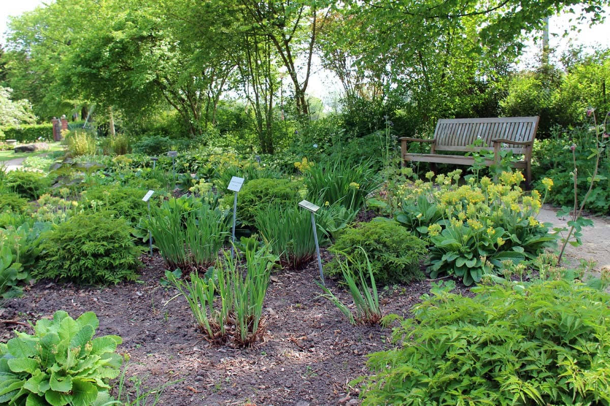 ein Beet im Celler Heilpflanzen Garten