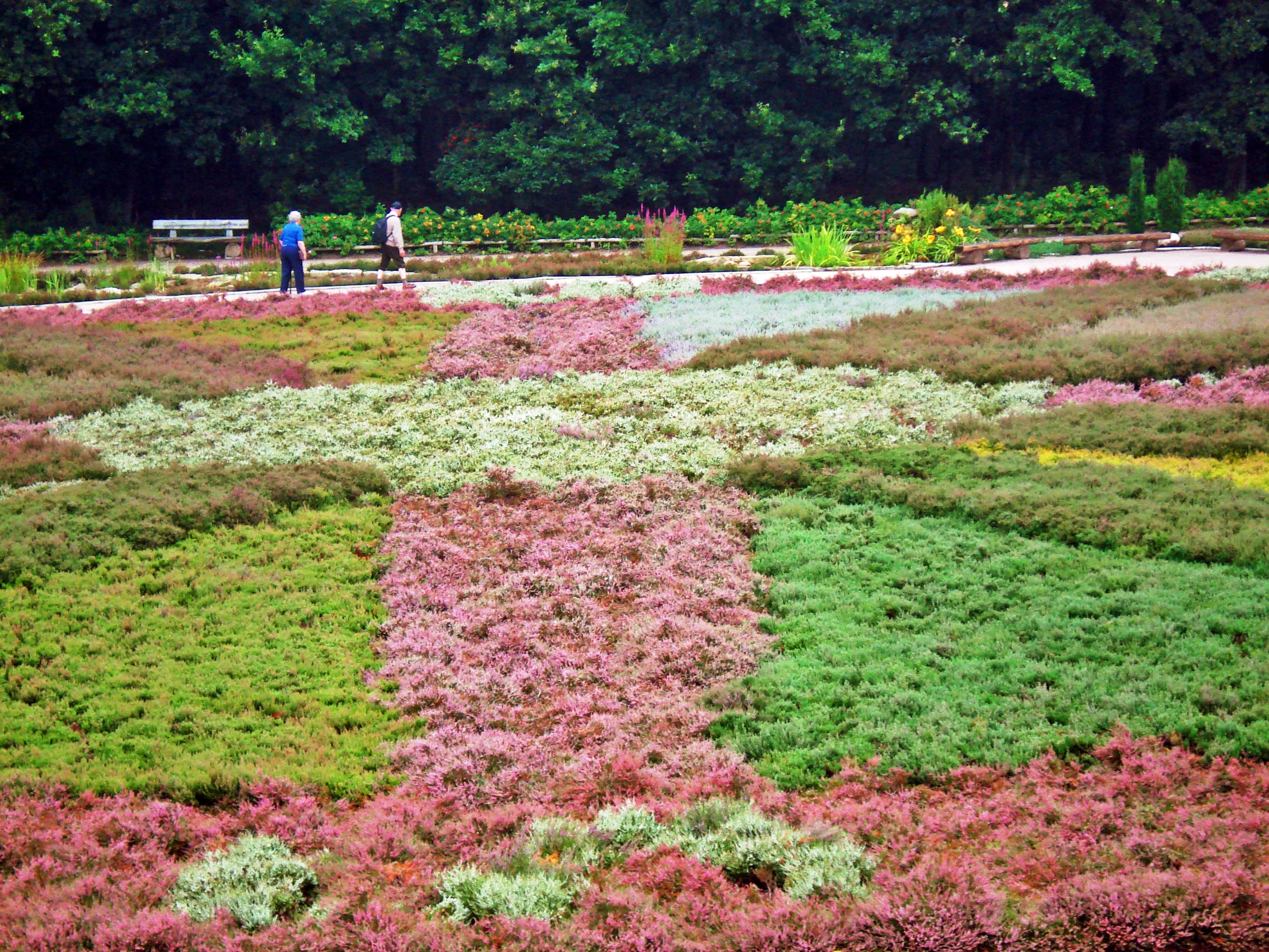 der heidegarten in schneverdingen kann kostenlos besucht werden