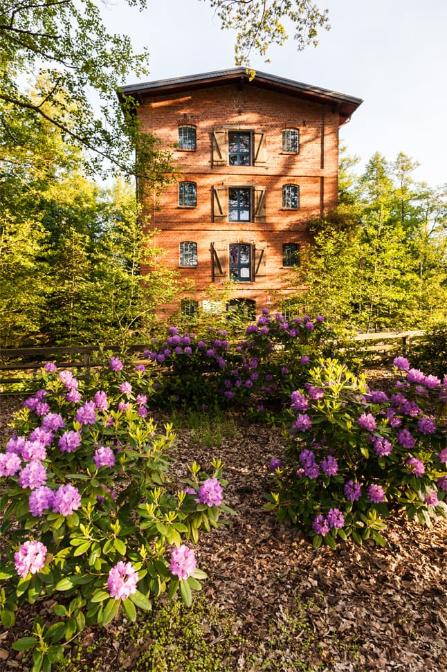 mueden oertze muehle