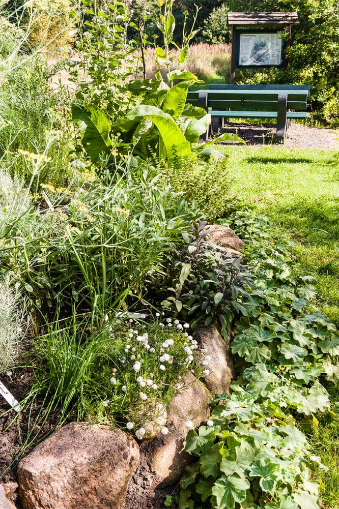 mueden oertze muehle