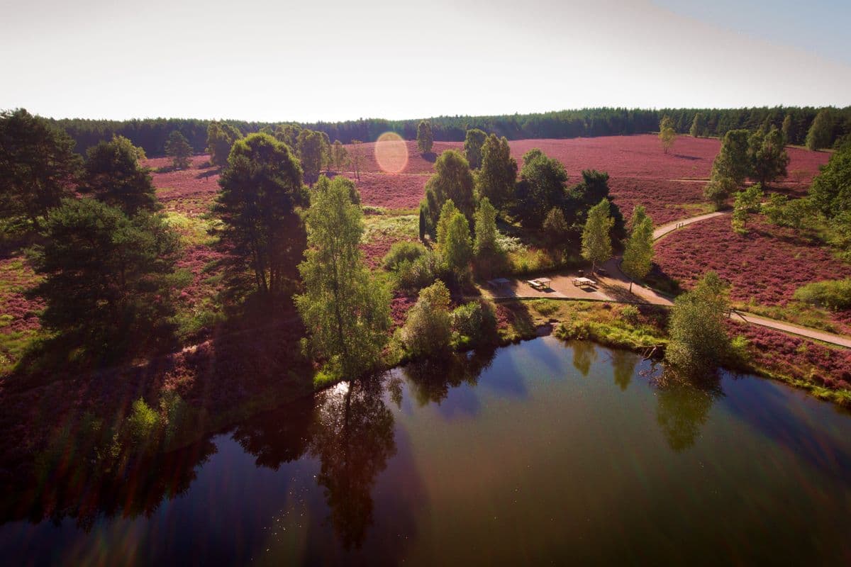 Angelbecksteich, Hermannsburg, Naturpark Südheide