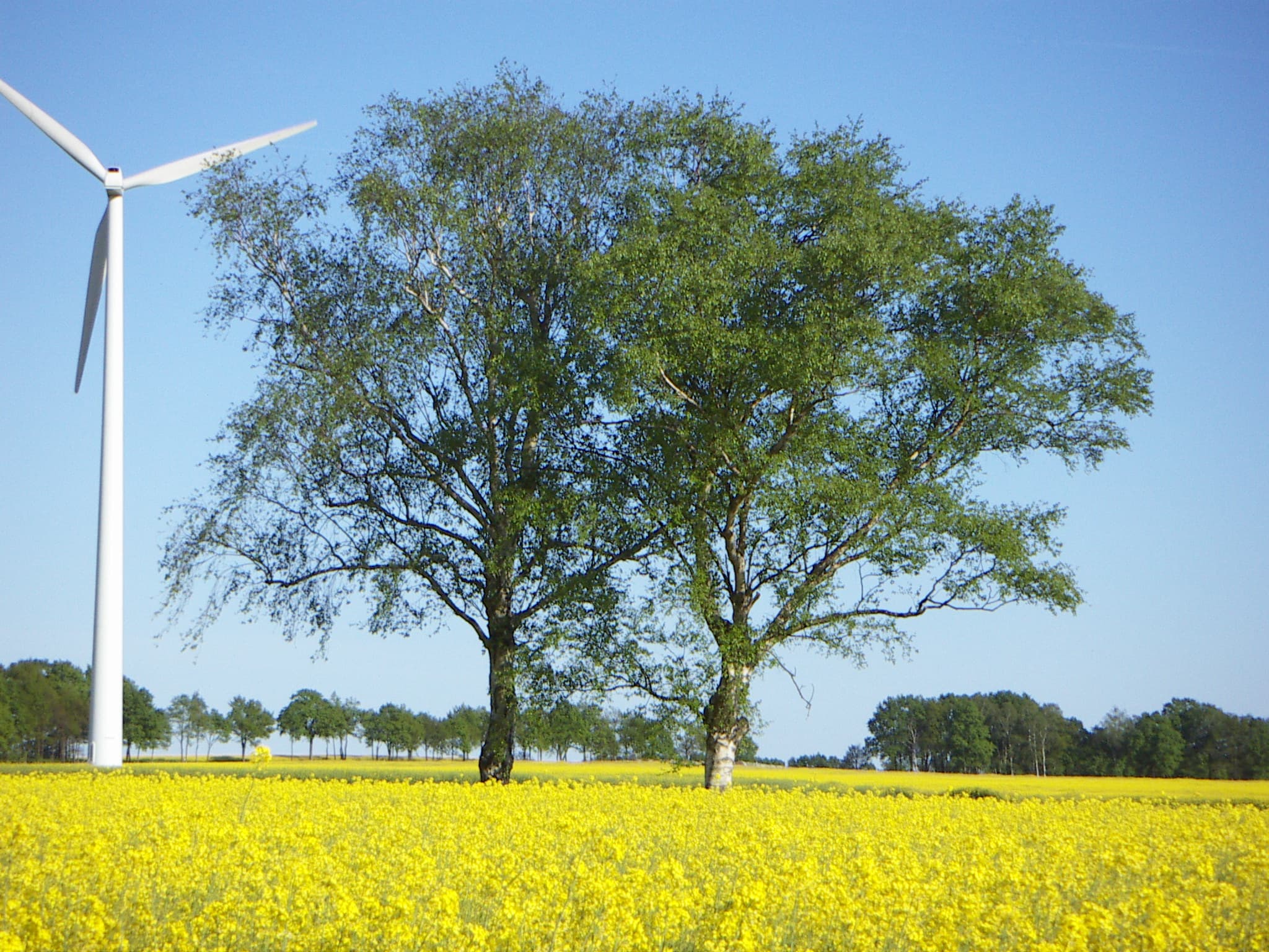 KONICA MINOLTA DIGITAL CAMERA