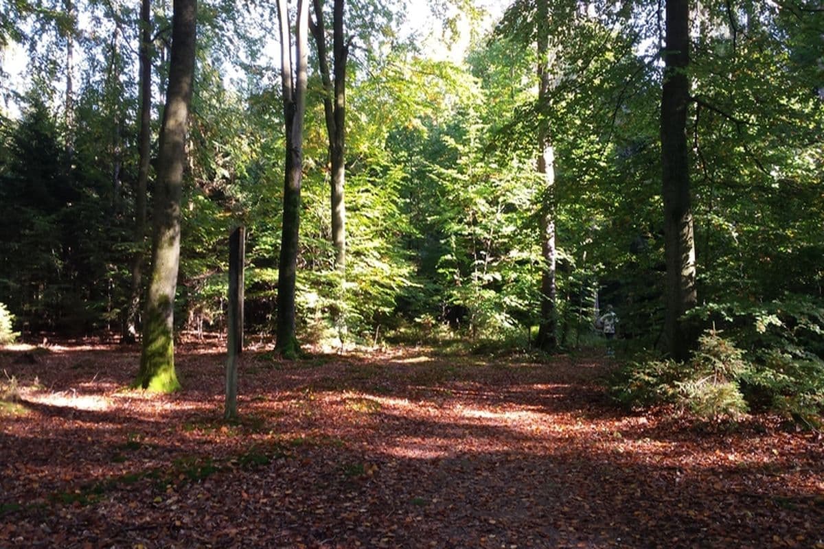 Waldgeschichtspfad Schooten