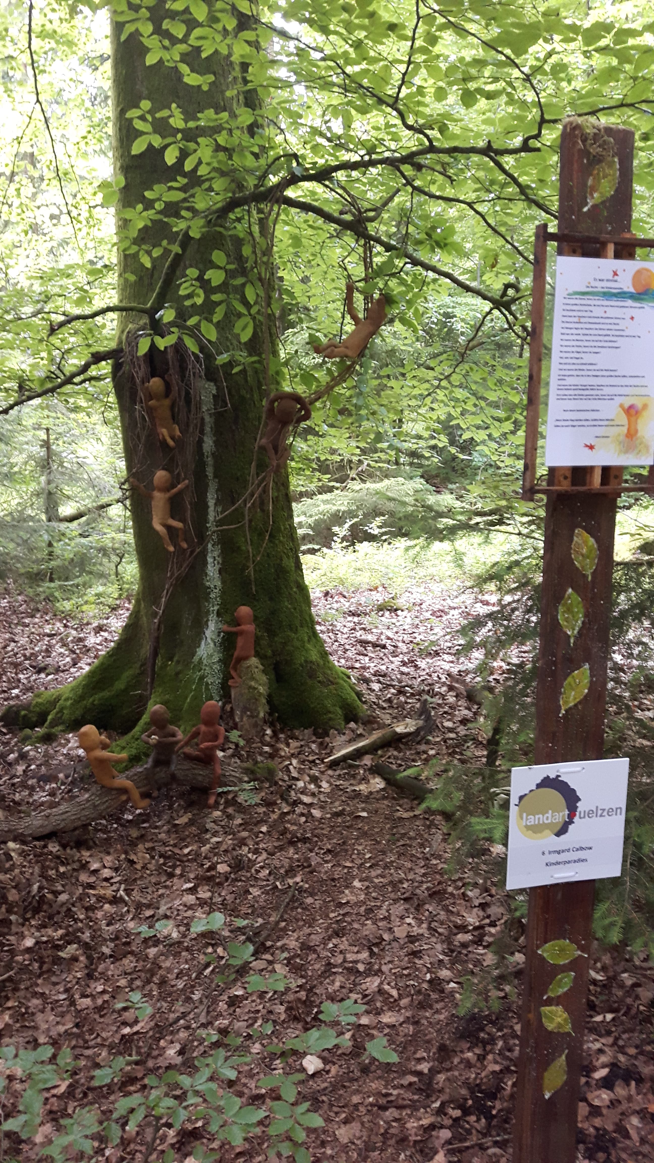 Waldgeschichtspfad Schooten