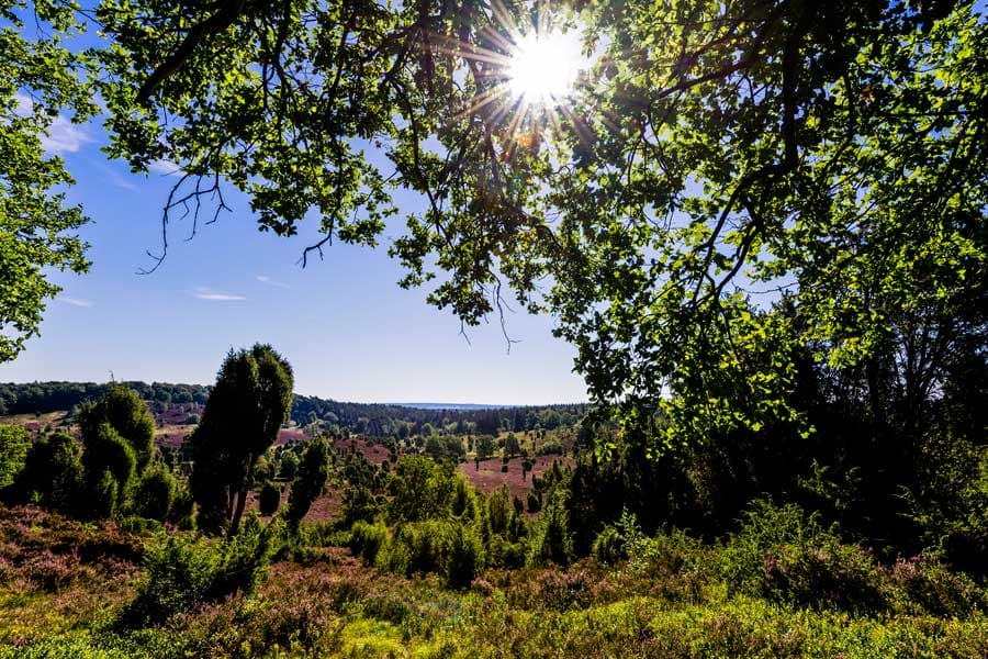 Blick auf den Totengrund Lüneburger Heide