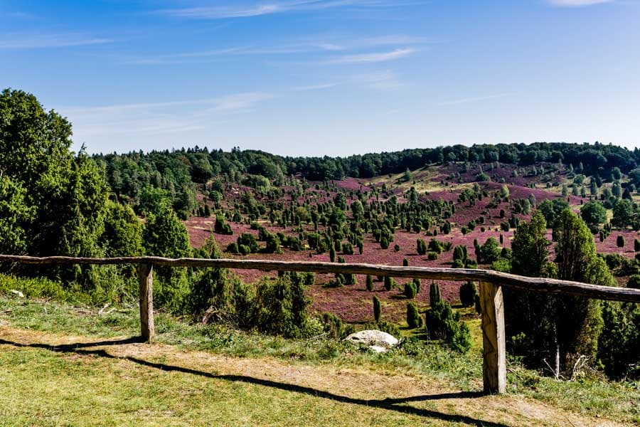 Am Rand vom Totengrund Lüneburger Heide