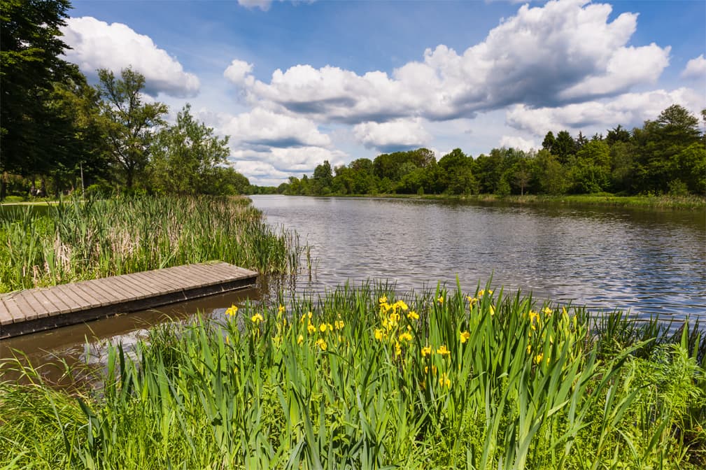 Ein See mitten im Ort, der Heidesee in Müden Örtze am Heidschnuckenweg