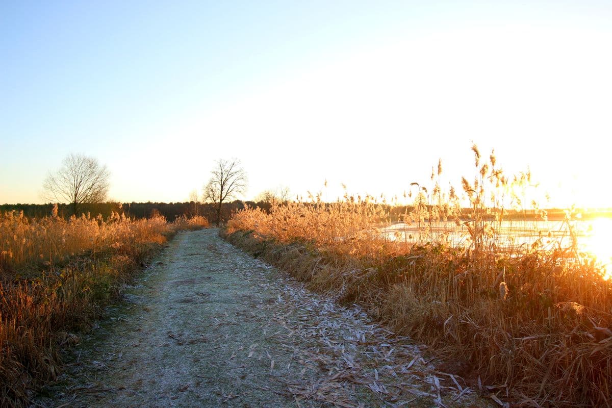Meissendorfer Teiche, Huettenseepark, Meissendorf, Aller, Winsen, Suedheide