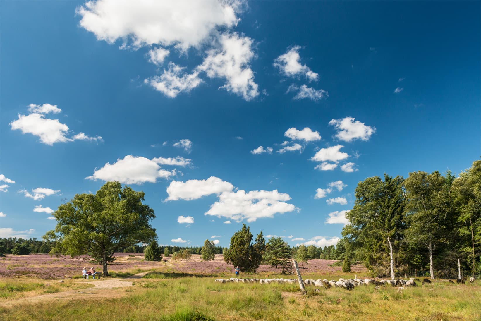sehenswuerdigkeit lueneburger heide Büsenbachtal Handeloh