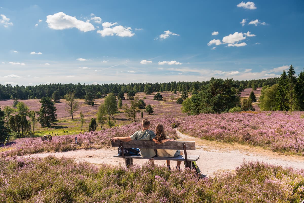 Das Büsenbachtal ist das Highlight auf der Wanderwoche Lüneburger Heide. Mitten im Naturpark Lüneburger Heide in der Nordheide gelegen ist es ein Mekka für alle Naturliebhaber und Urlauber. Als Tagesziel oder Tagesausflug bestens geeignet durch angrenzende Parkplätze in Wörme bei Handeloh.