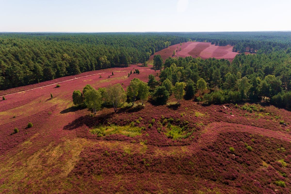Luftaufnahme des Tiefentals, Misselhorner Heide, Hermannsburg