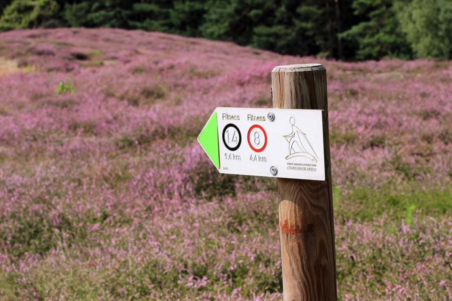 Bad Bevensen Klein Bünstorfer Heide