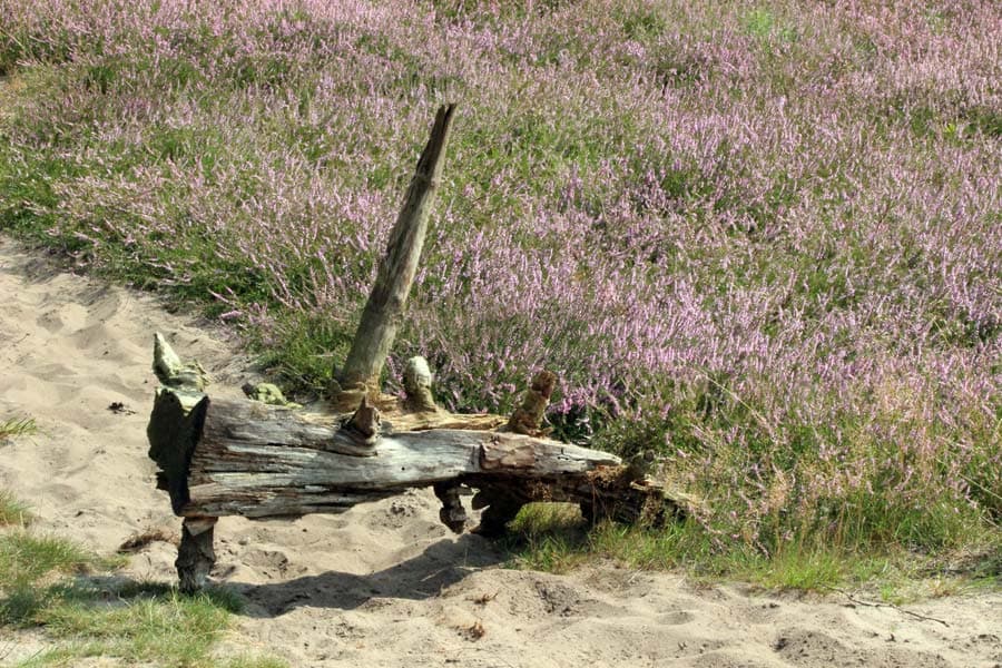 Bad Bevensen Klein Bünstorfer Heide