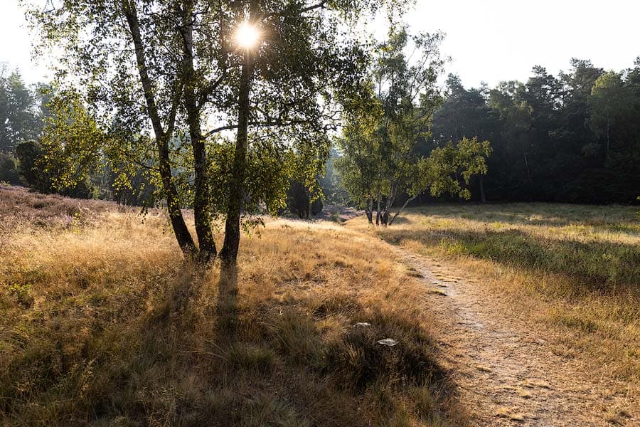 Das Marxener Paradies bei Amelinghausen