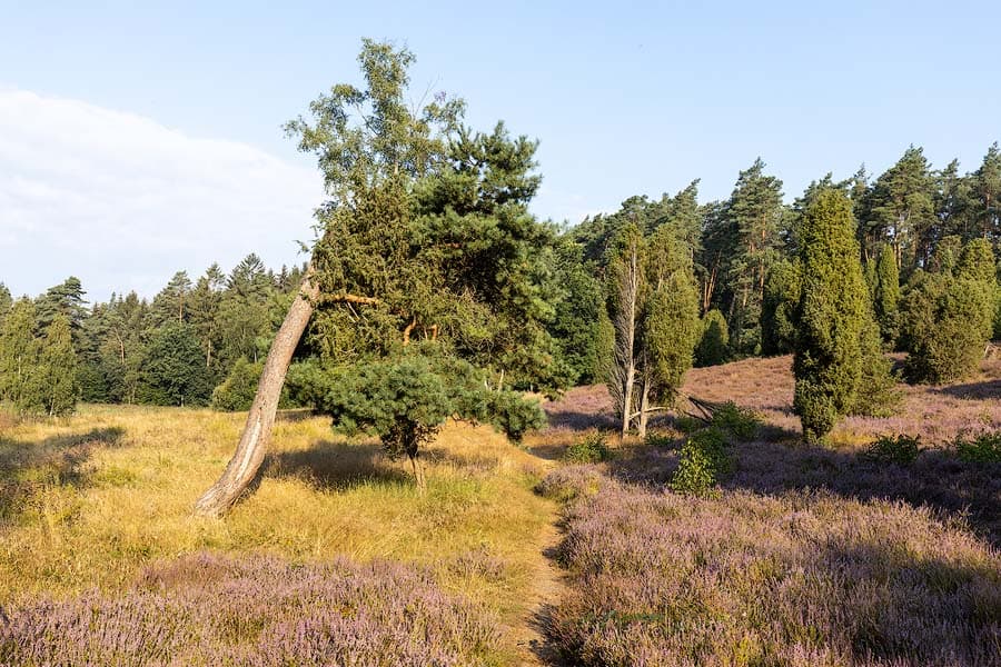 Das Marxener Paradies bei Amelinghausen