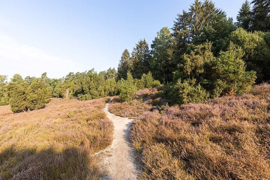 Das Marxener Paradies bei Amelinghausen