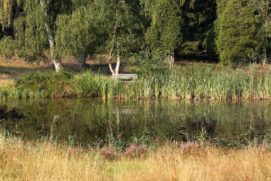Das Marxener Paradies bei Amelinghausen