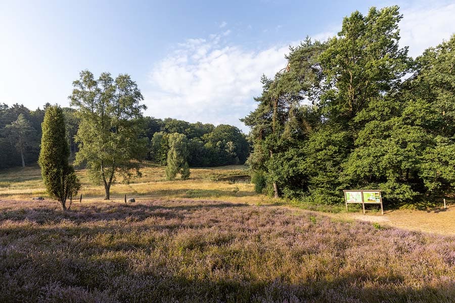 Das Marxener Paradies bei Amelinghausen