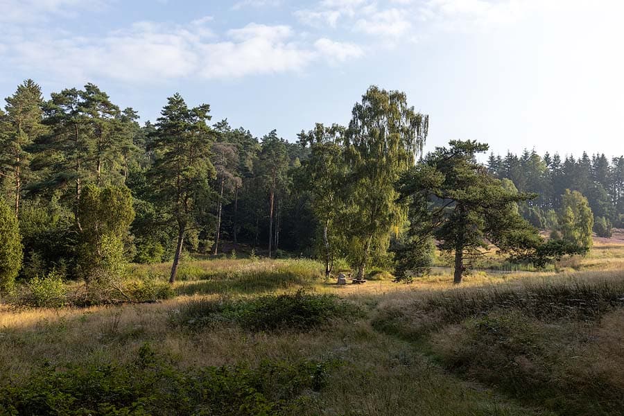 Das Marxener Paradies bei Amelinghausen