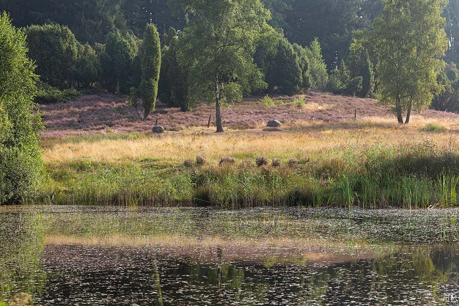 Das Marxener Paradies bei Amelinghausen