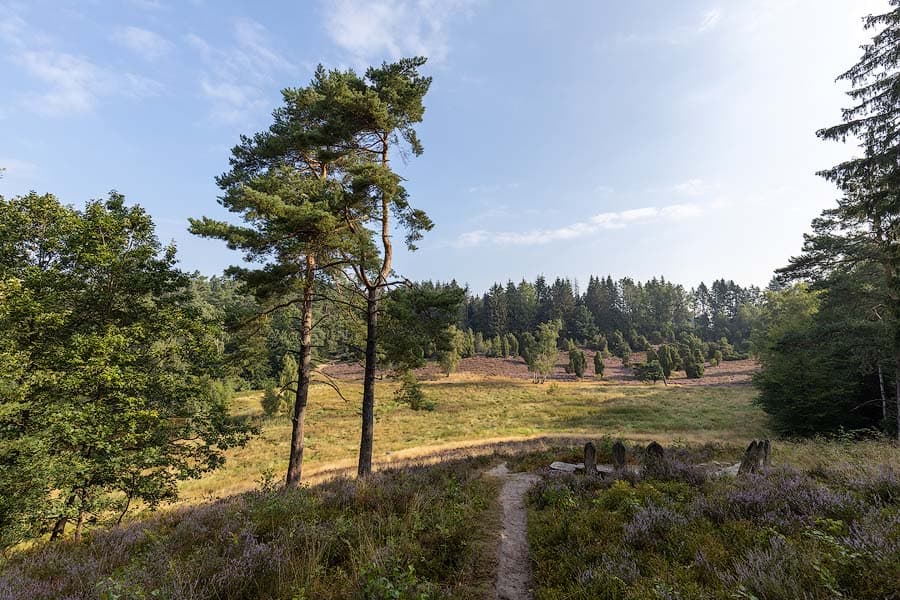 Das Marxener Paradies bei Amelinghausen