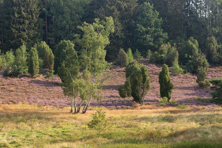 Das Marxener Paradies bei Amelinghausen