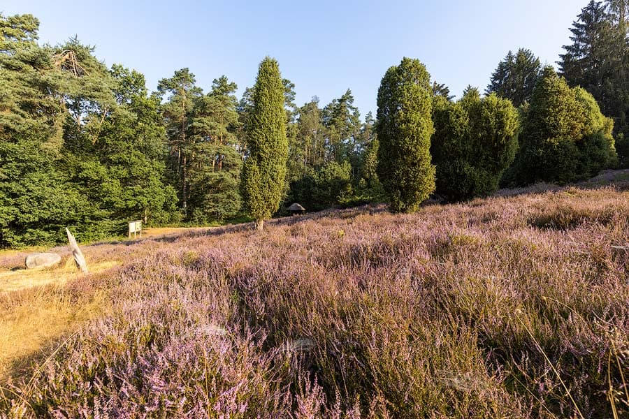 Das Marxener Paradies bei Amelinghausen