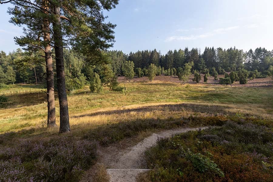 Das Marxener Paradies bei Amelinghausen