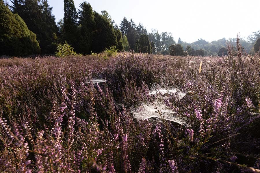 Das Marxener Paradies bei Amelinghausen