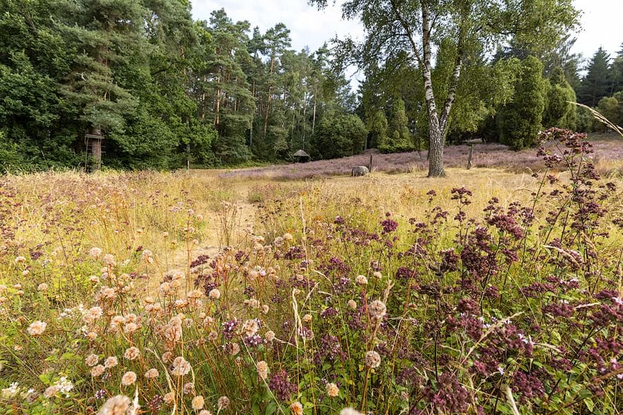 Das Marxener Paradies bei Amelinghausen