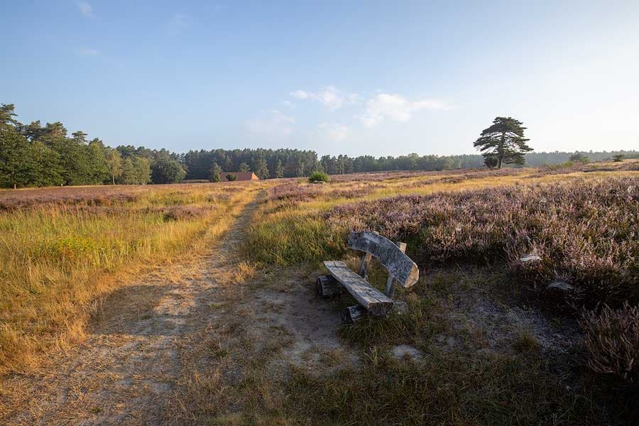 Die Kronsbergheide bei Amelinghausen