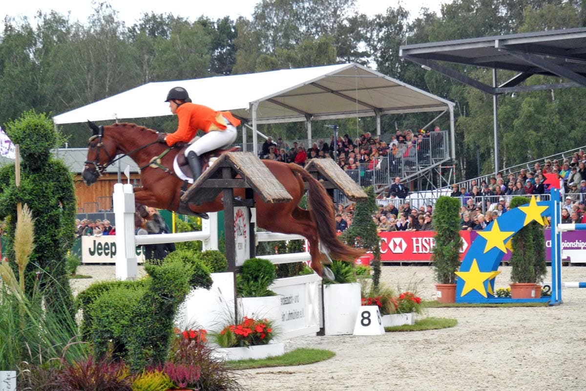 Luhmühlen ist ein mekka des reitsports